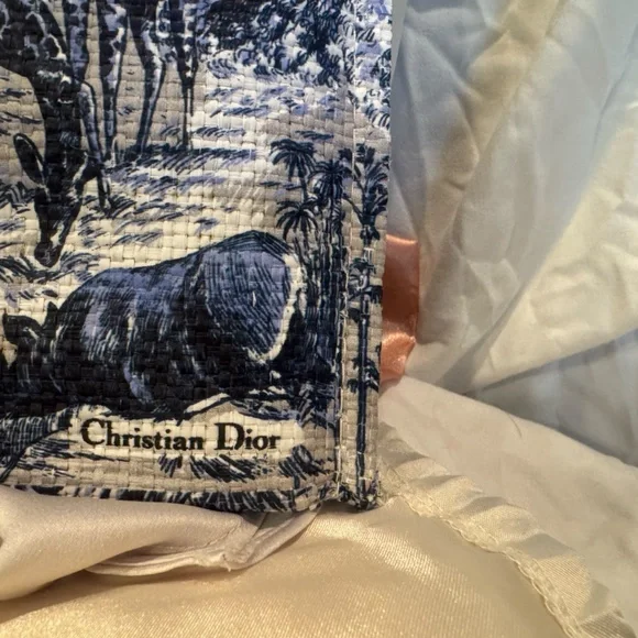 Dior around the world novelty bag